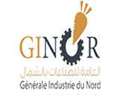 logo-ginor