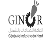 logo-ginor11